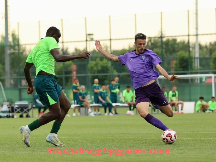 PG模拟器官方网站-世俱杯球员射门次数与进攻欲望及效率的相关性分析